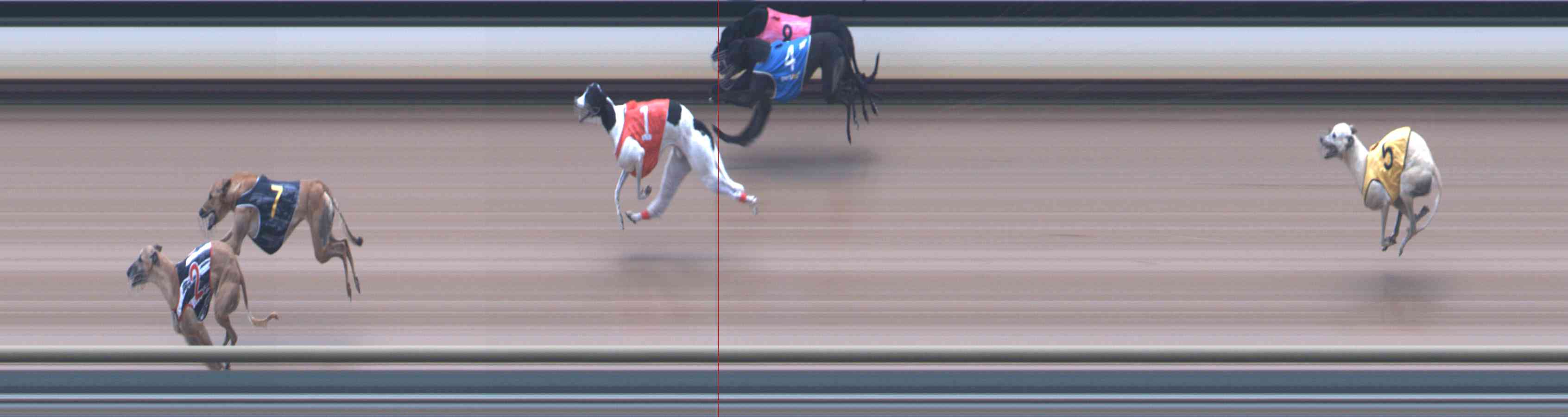 Photo finish for Healesville Race 11