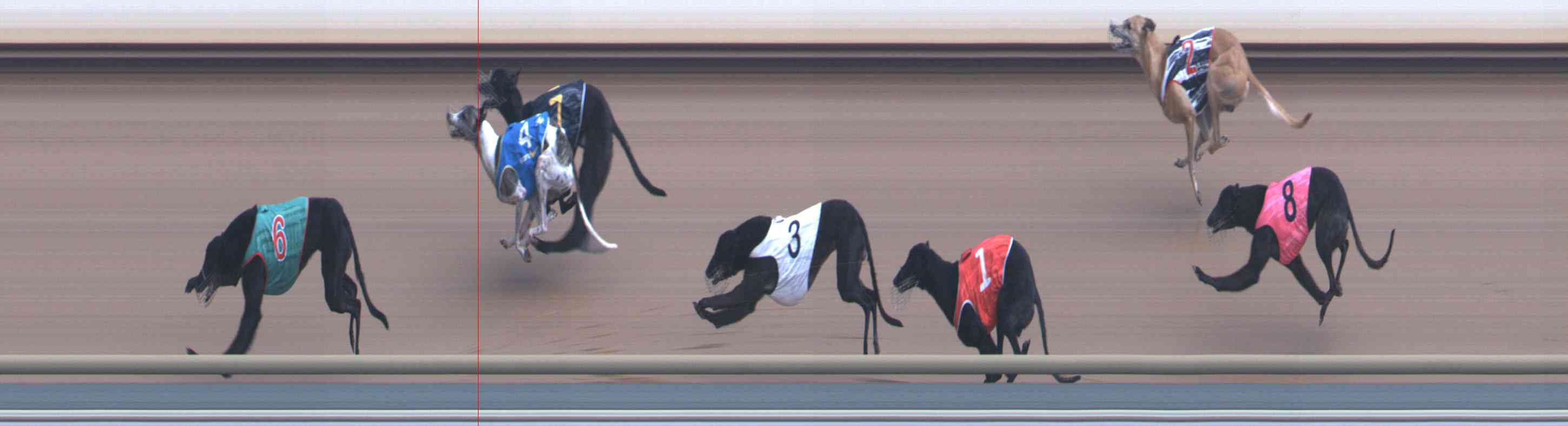 Photo finish for Healesville Race 12