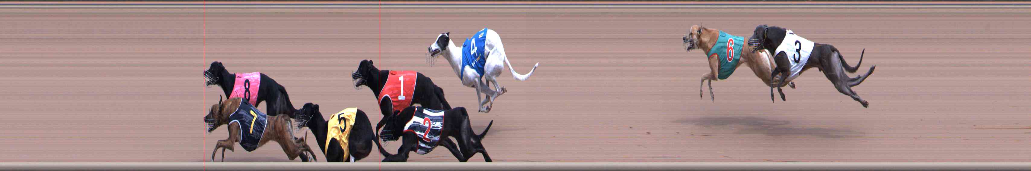 Photo finish for Healesville Race 3