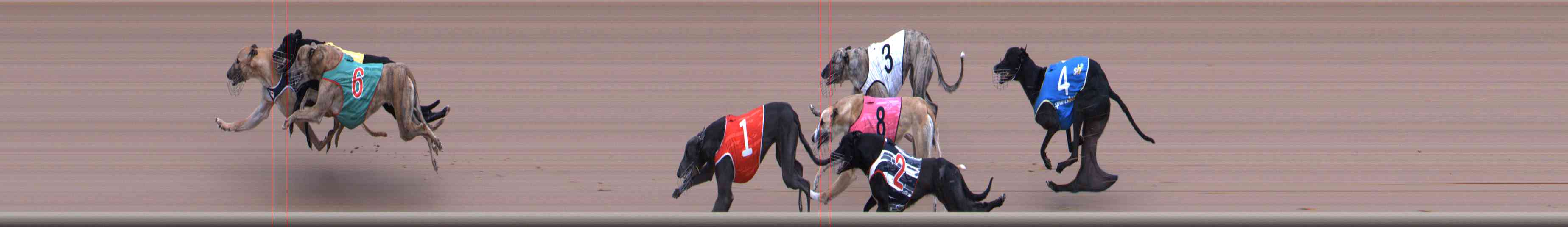 Photo finish for Healesville Race 4