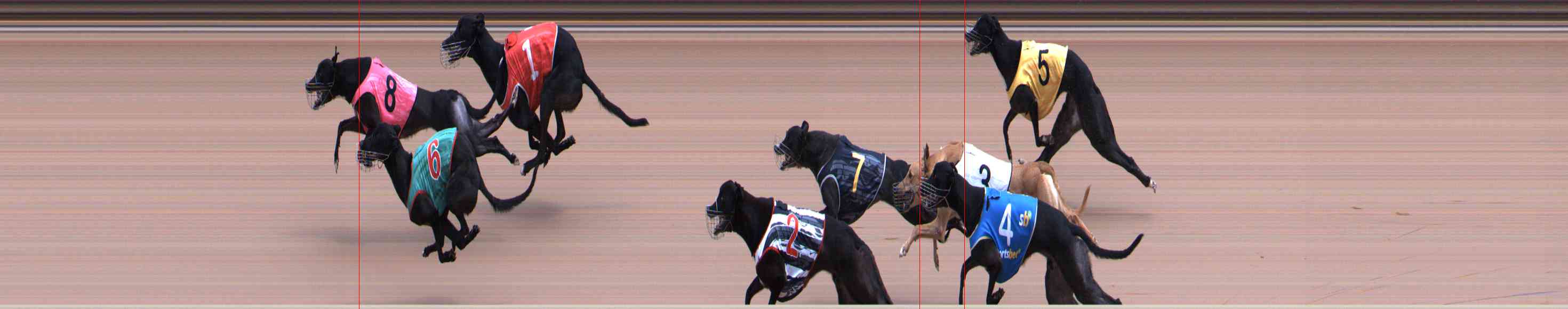 Photo finish for Healesville Race 5