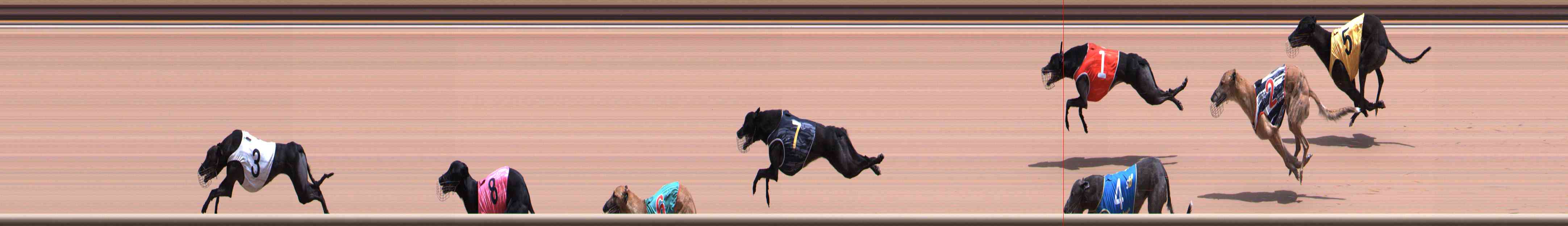 Photo finish for Healesville Race 6