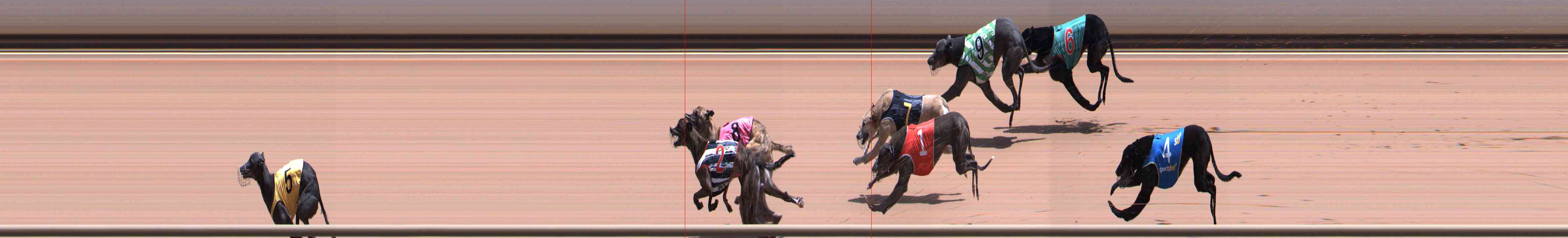 Photo finish for Healesville Race 7