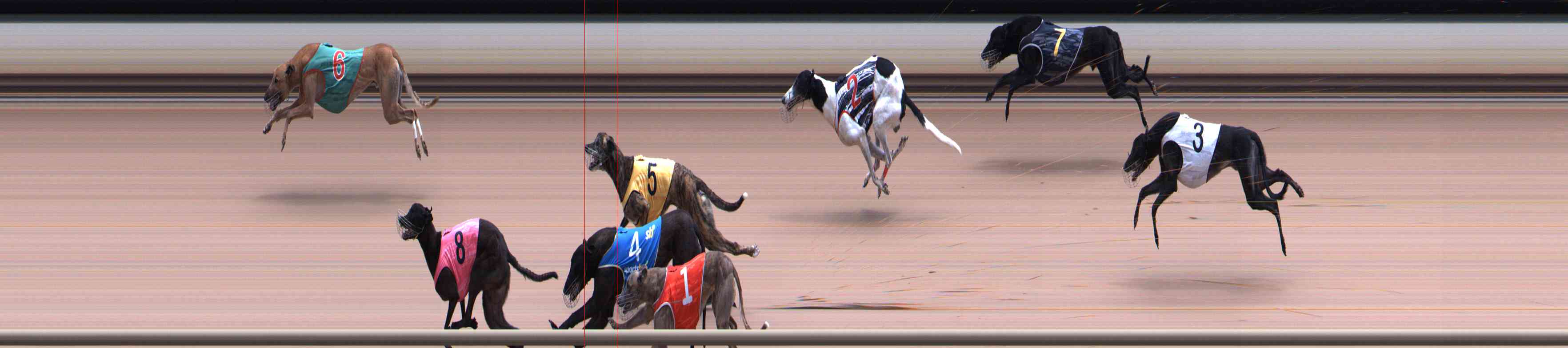 Photo finish for Healesville Race 8