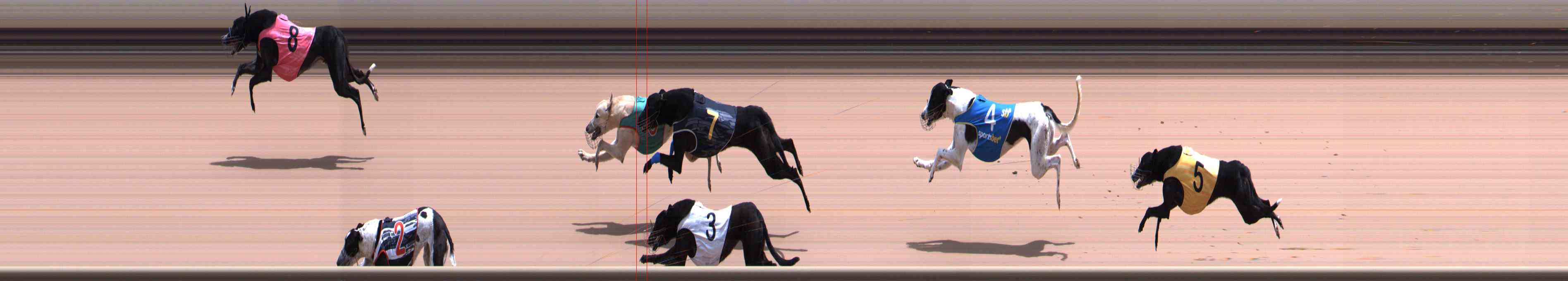 Photo finish for Healesville Race 9