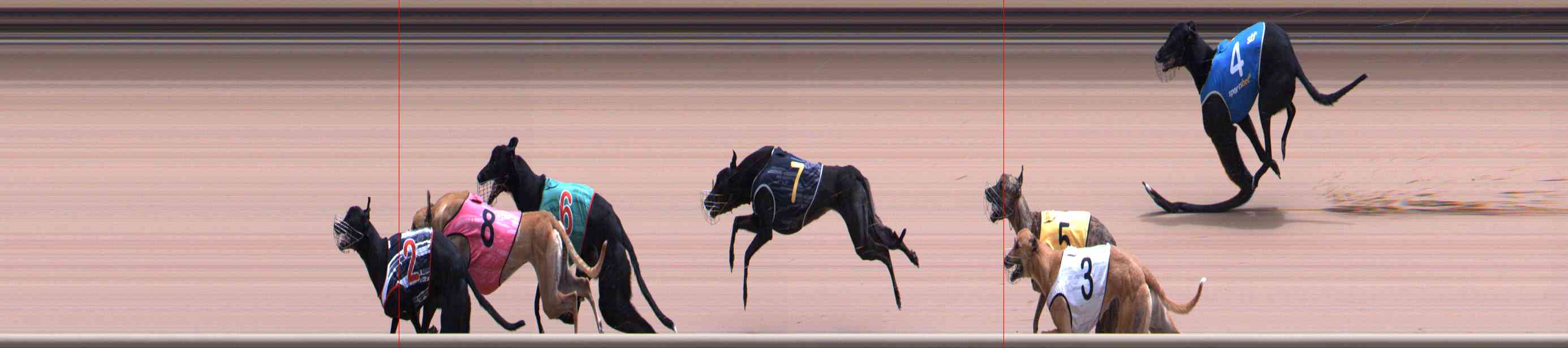 Photo finish for Healesville Race 10