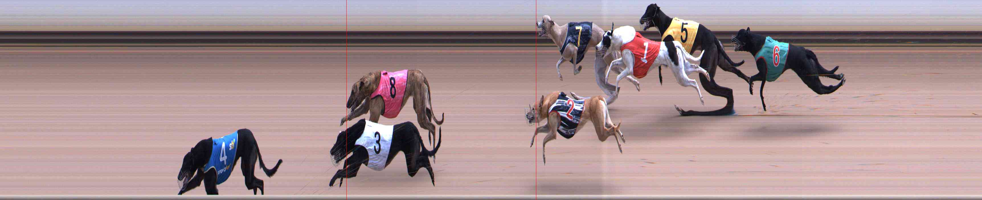 Photo finish for Healesville Race 11