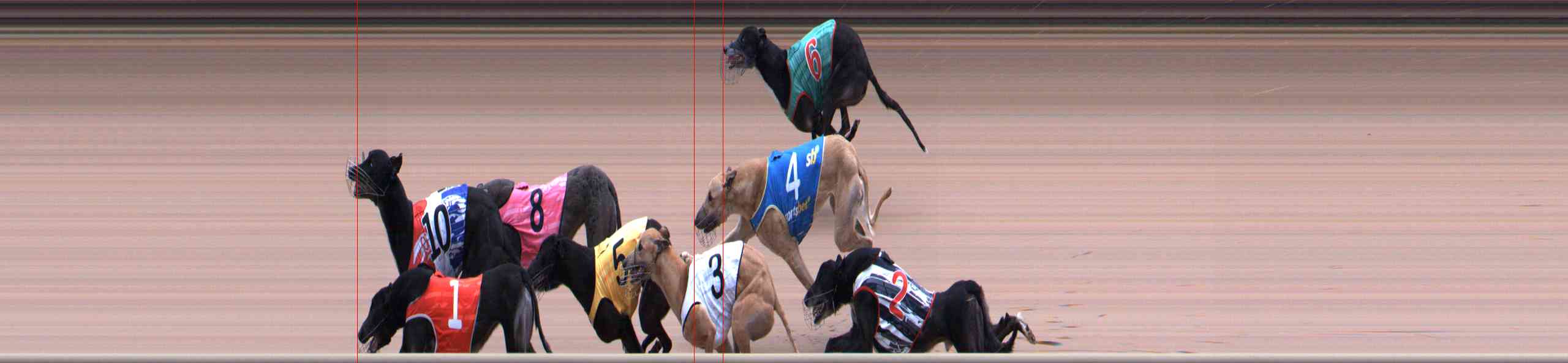 Photo finish for Healesville Race 12