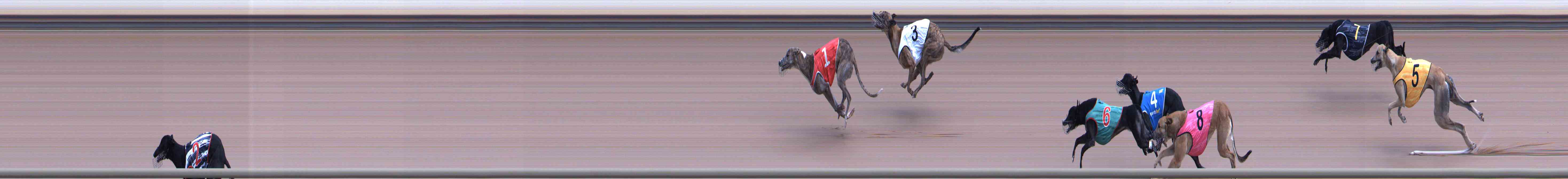 Photo finish for Healesville Race 5
