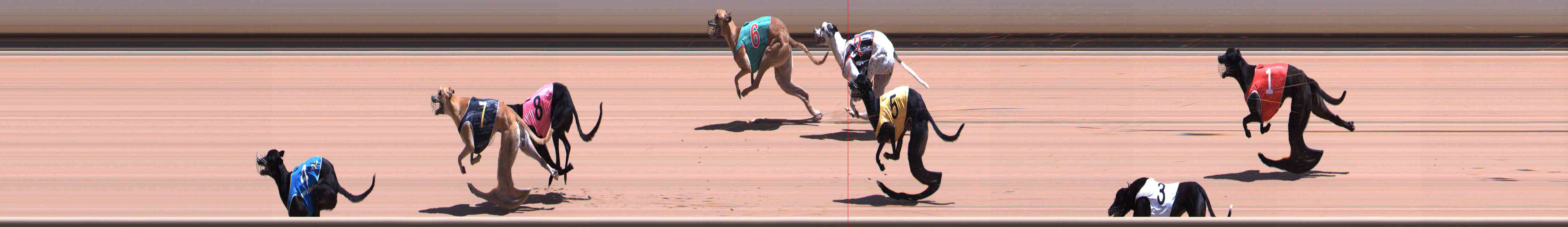 Photo finish for Healesville Race 6