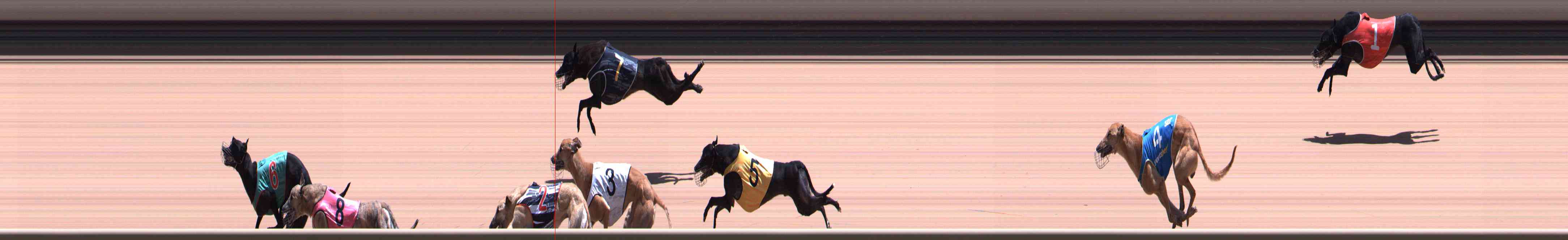 Photo finish for Healesville Race 8