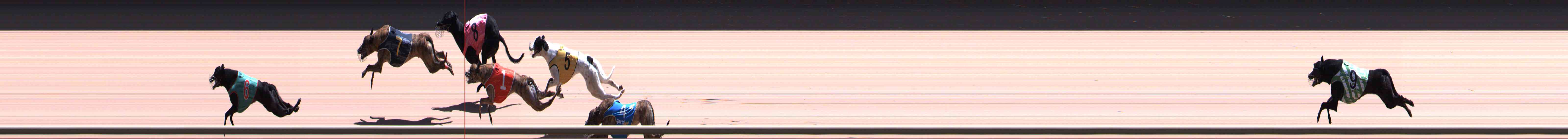 Photo finish for Healesville Race 11