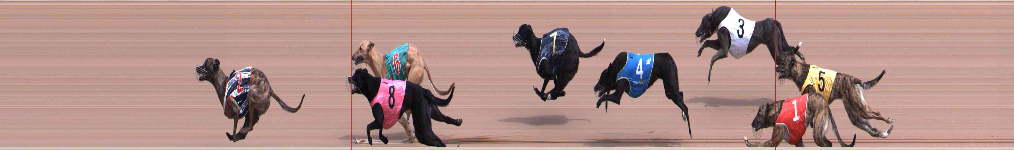 Photo finish for Healesville Race 2