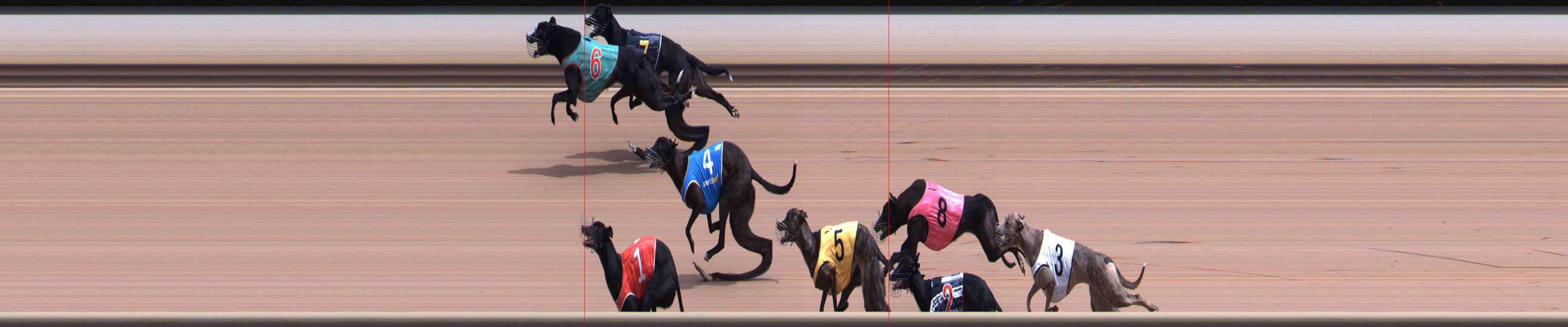 Photo finish for Healesville Race 4