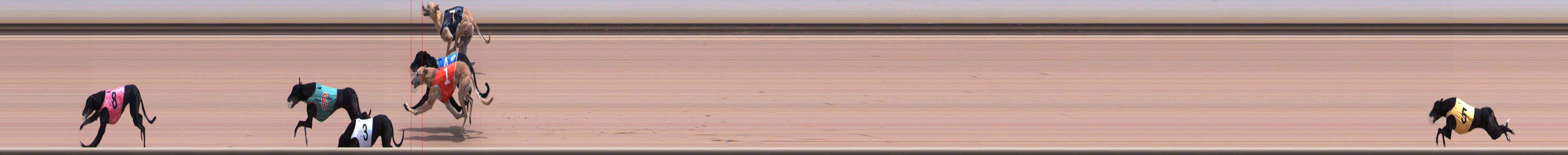Photo finish for Healesville Race 5