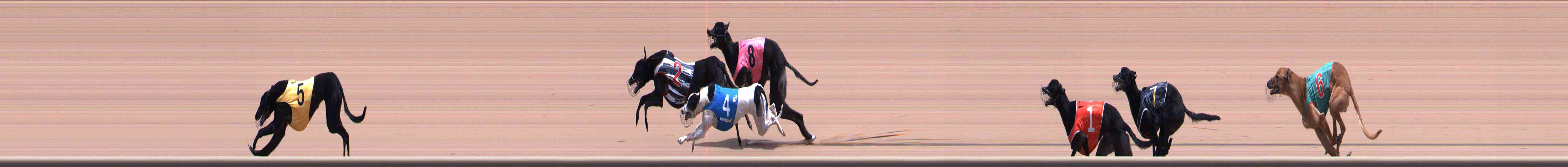 Photo finish for Healesville Race 6