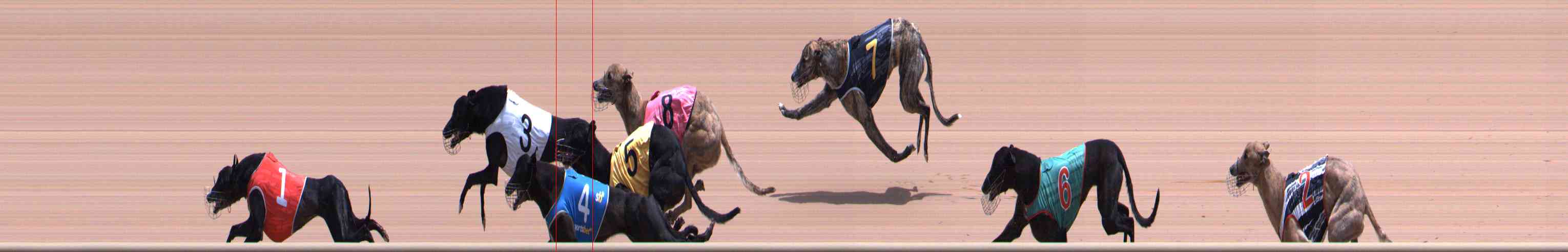 Photo finish for Healesville Race 7