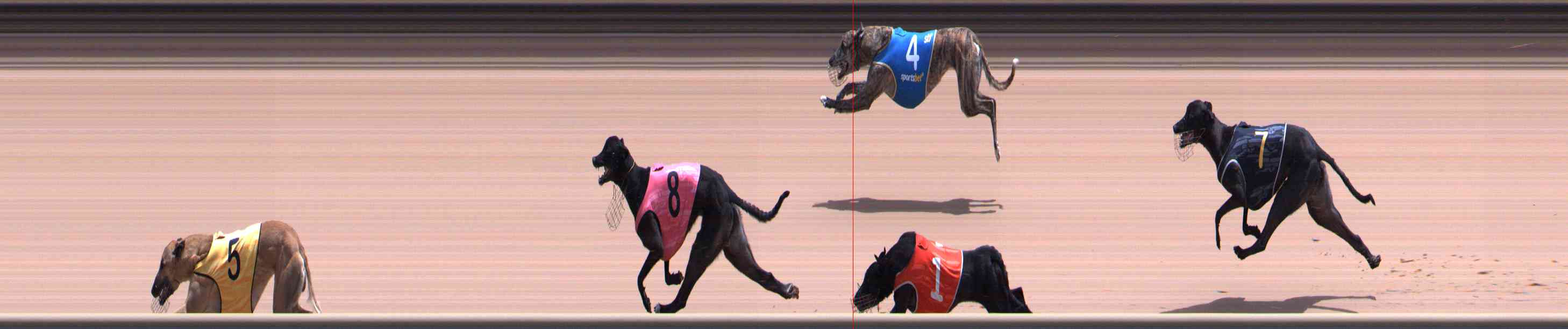 Photo finish for Healesville Race 8