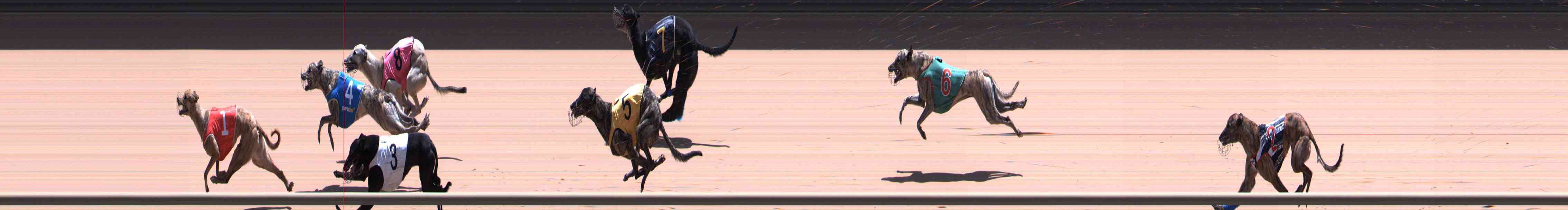 Photo finish for Healesville Race 10