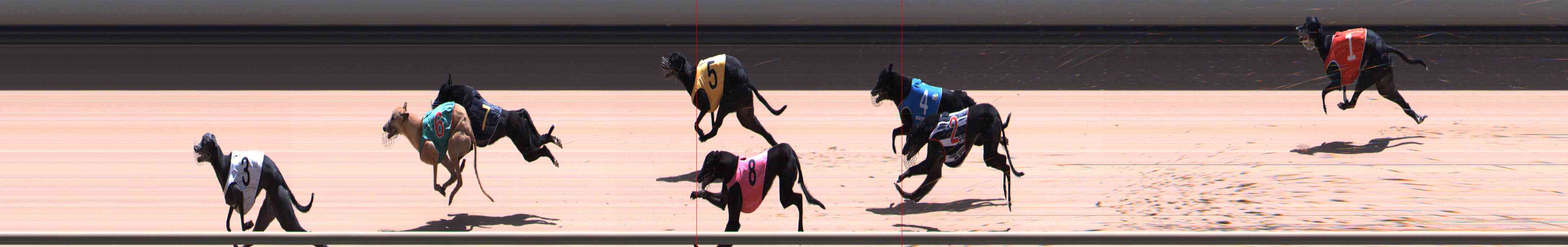 Photo finish for Healesville Race 11