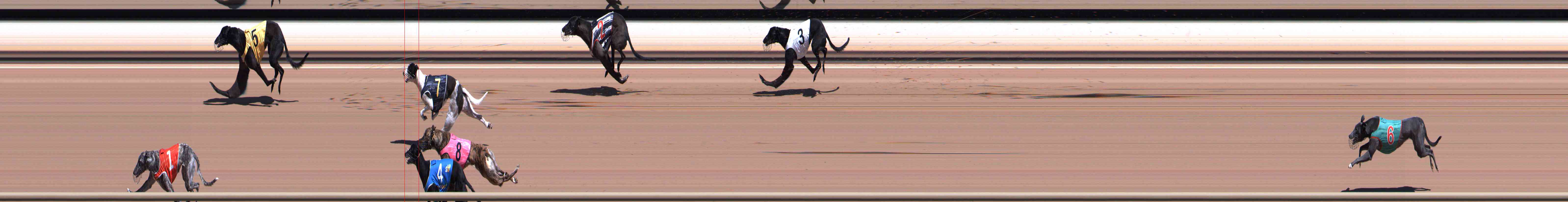 Photo finish for Healesville Race 2