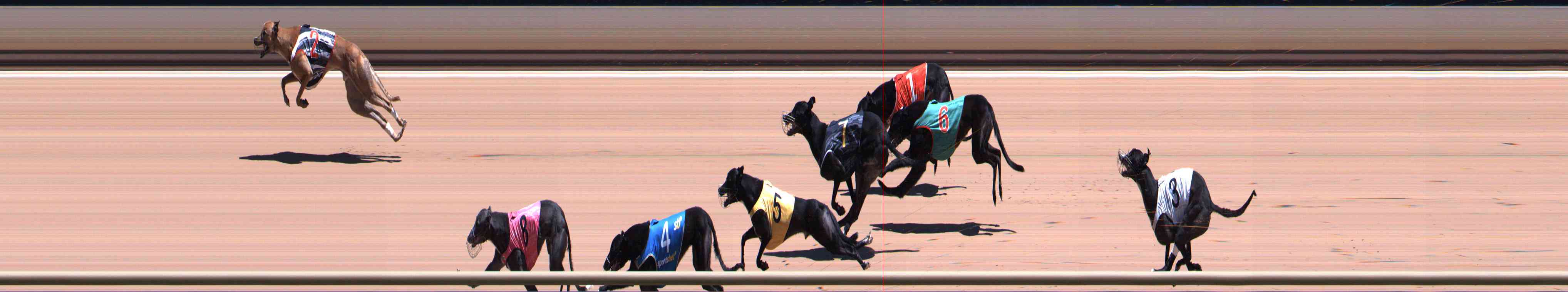 Photo finish for Healesville Race 6