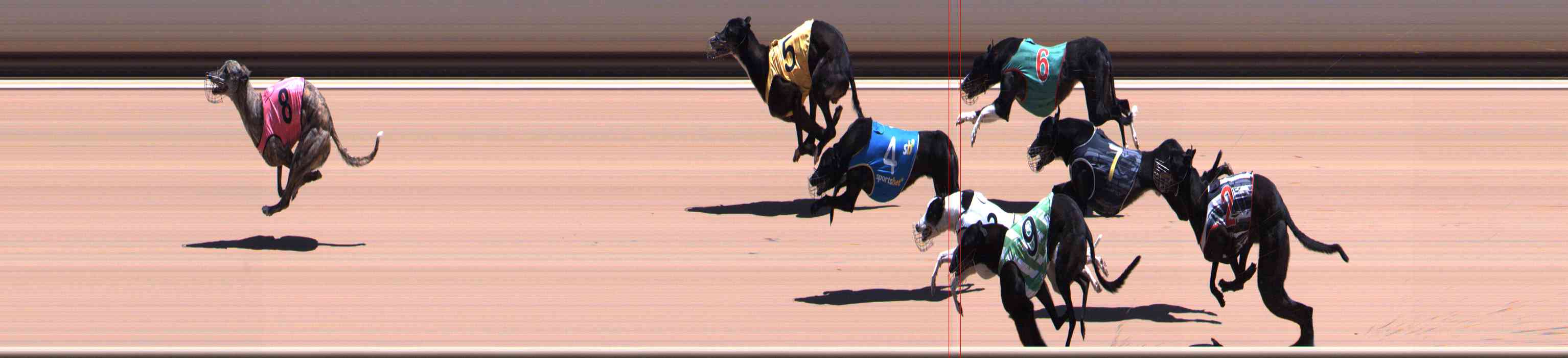 Photo finish for Healesville Race 7
