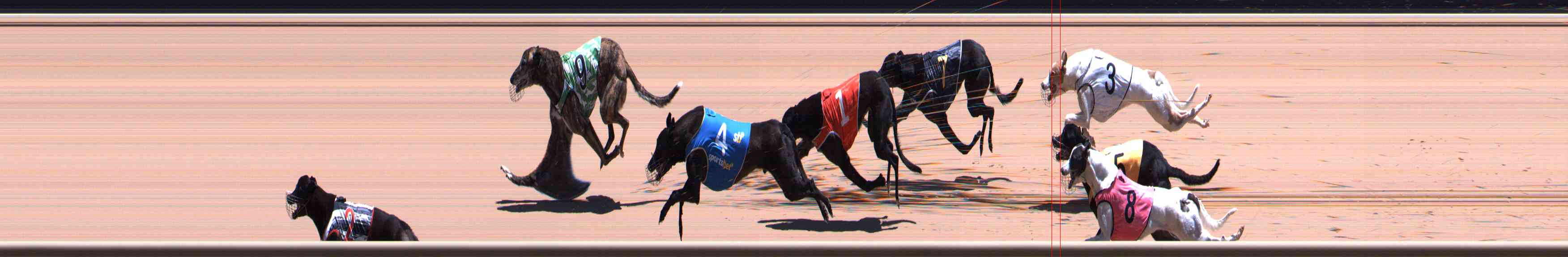 Photo finish for Healesville Race 8