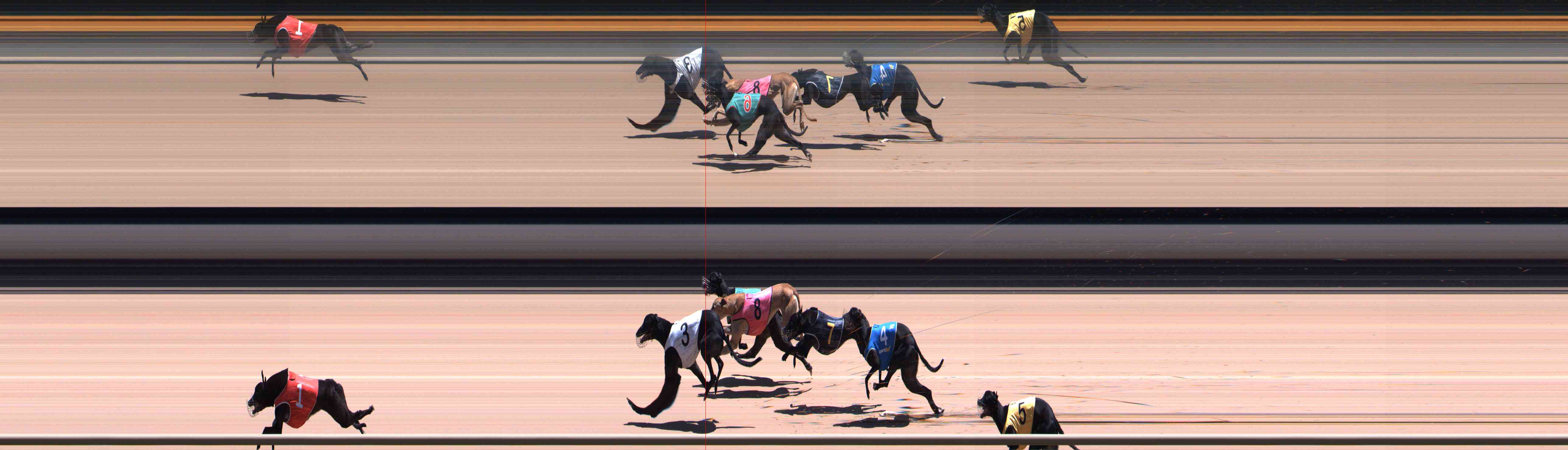 Photo finish for Healesville Race 9