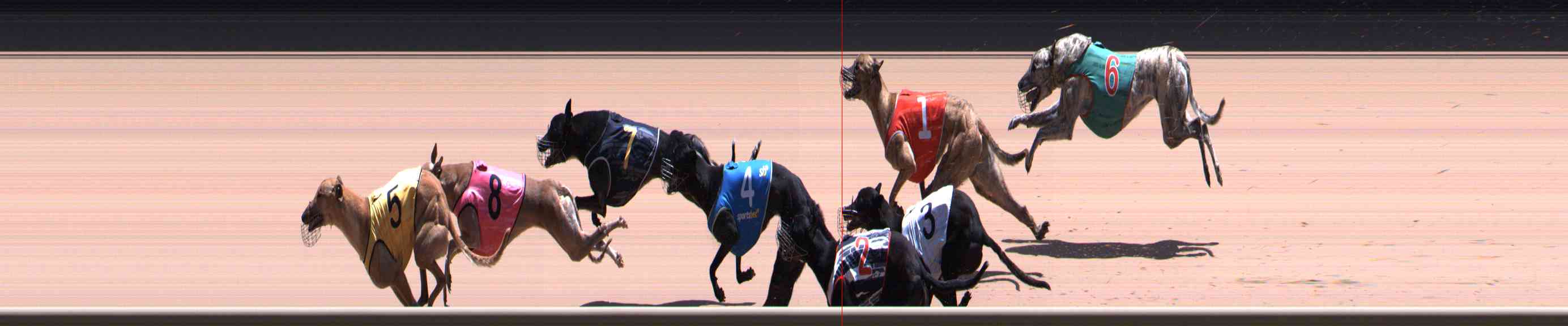 Photo finish for Healesville Race 10