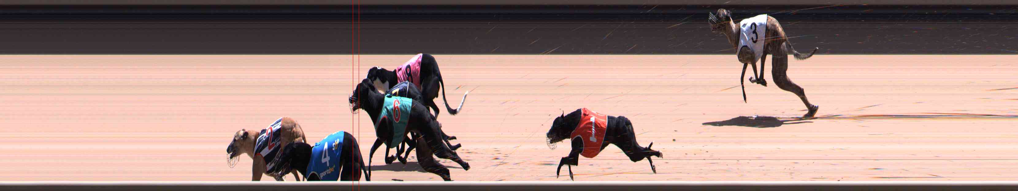 Photo finish for Healesville Race 11