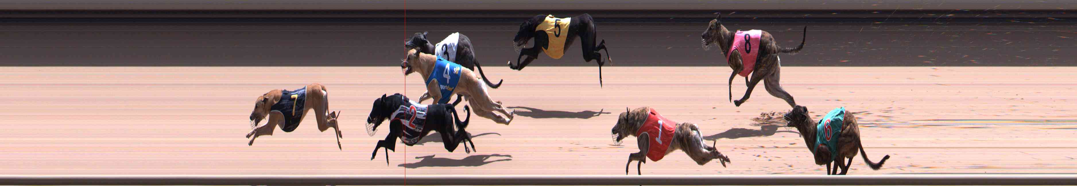 Photo finish for Healesville Race 12