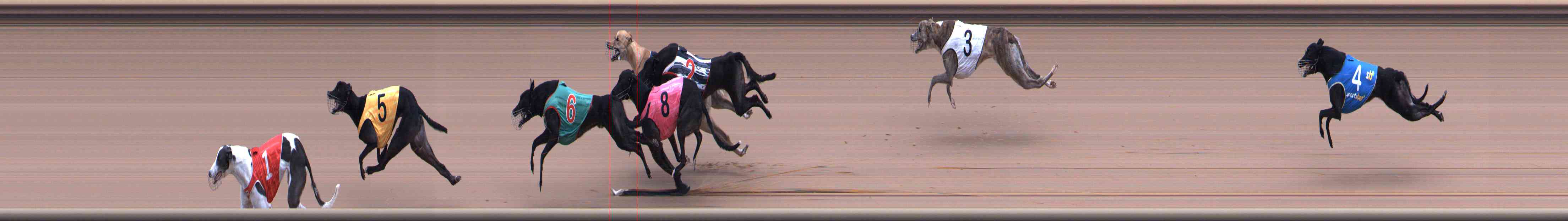 Photo finish for Healesville Race 6
