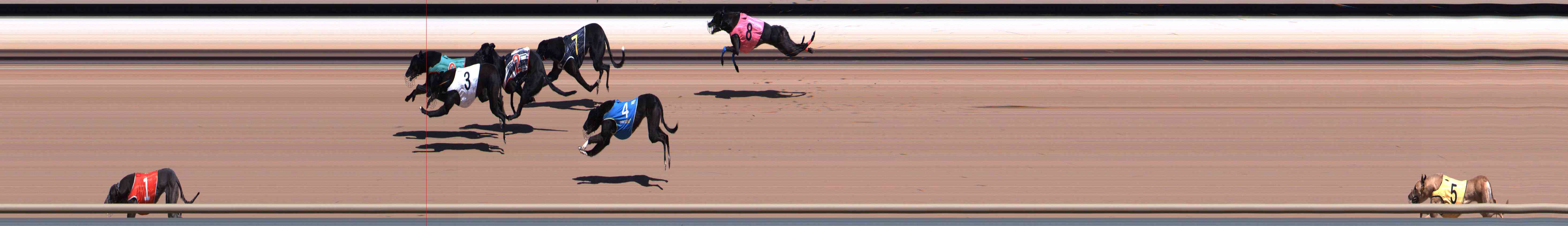 Photo finish for Healesville Race 1