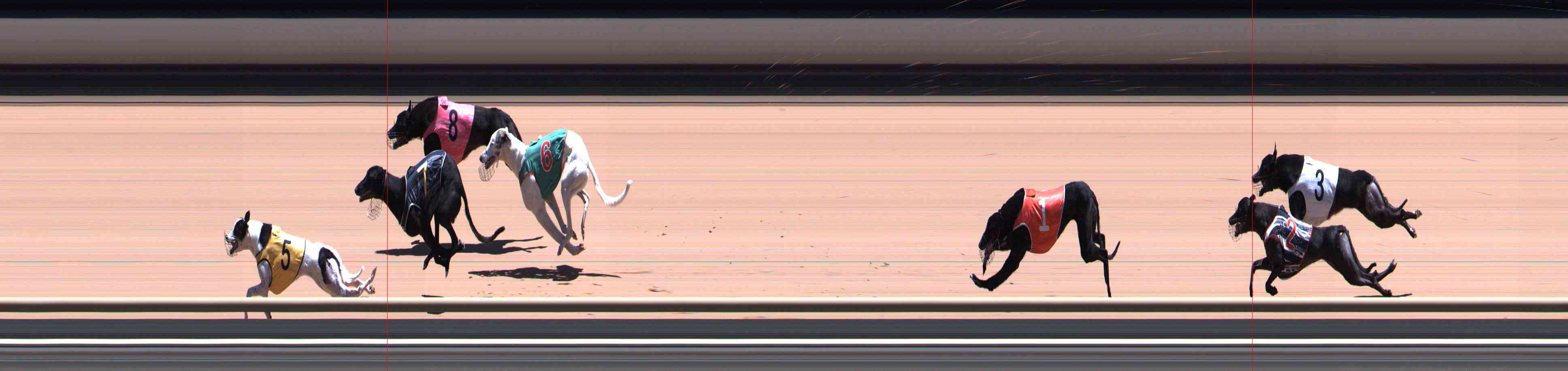 Photo finish for Healesville Race 8