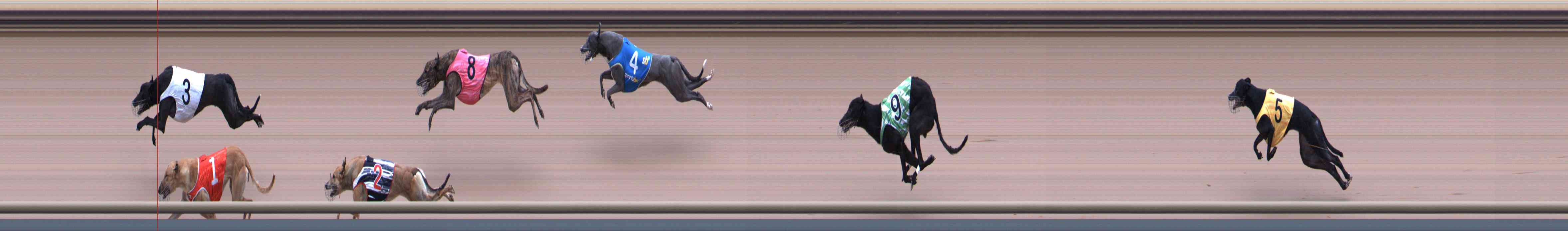 Photo finish for Healesville Race 10