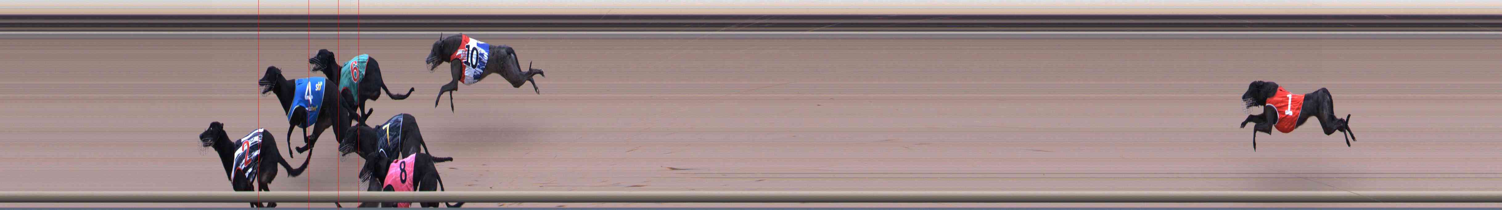 Photo finish for Healesville Race 11