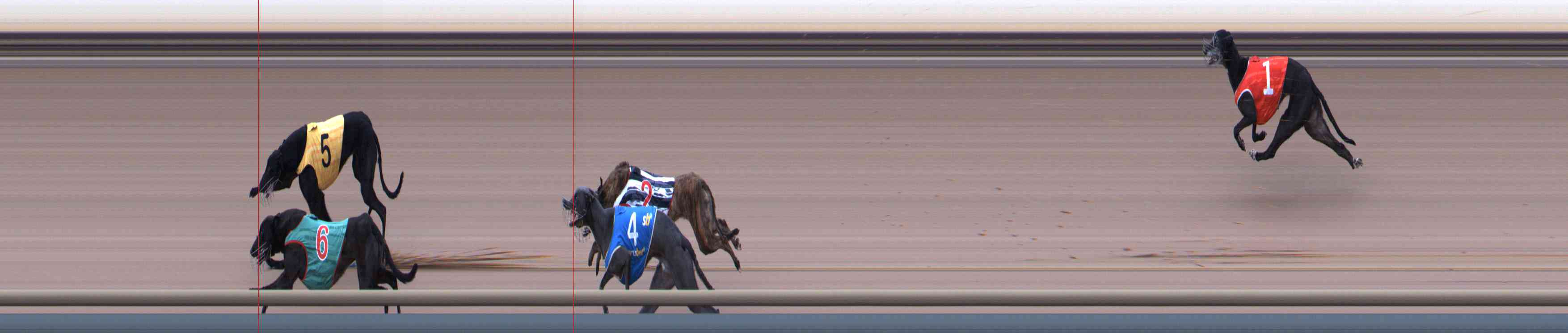 Photo finish for Healesville Race 12