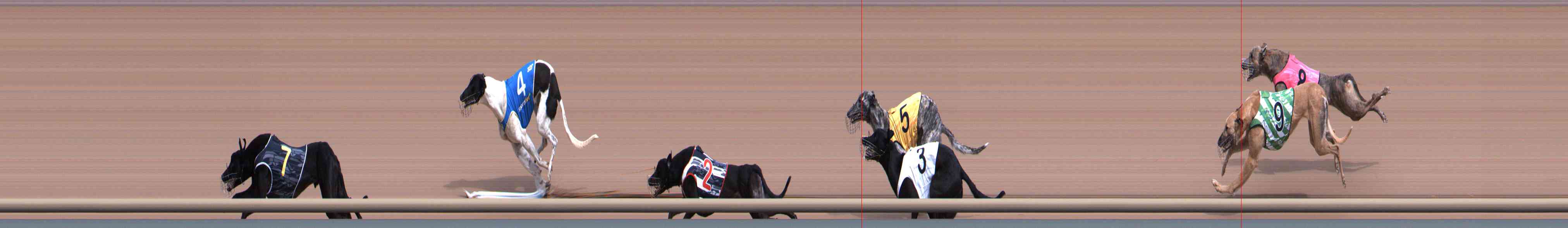 Photo finish for Healesville Race 2