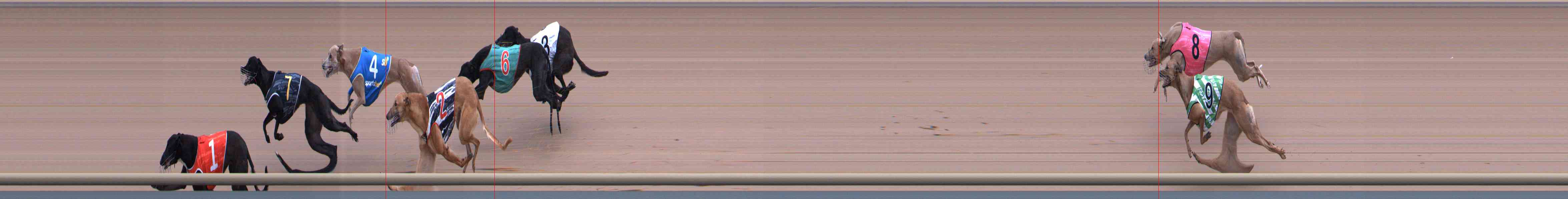 Photo finish for Healesville Race 3