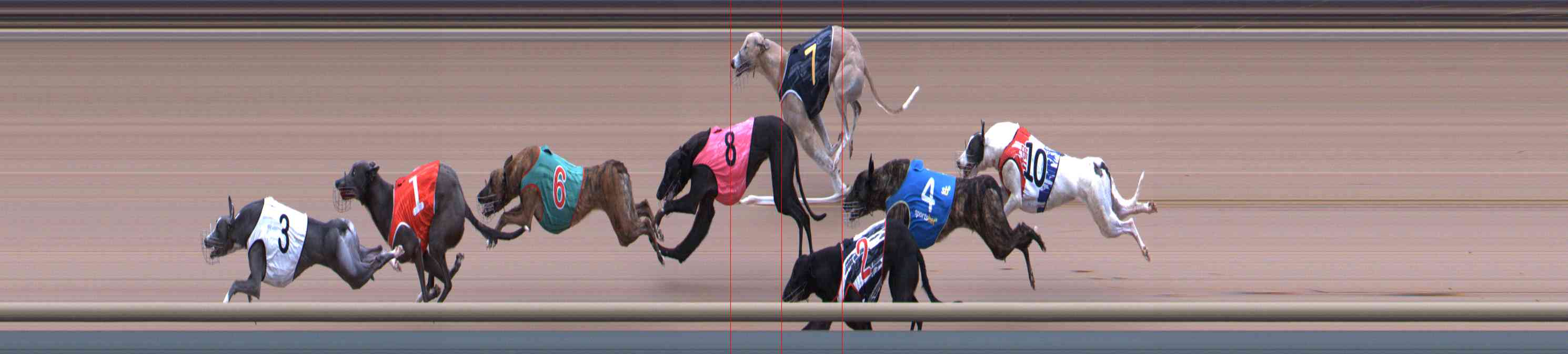 Photo finish for Healesville Race 4