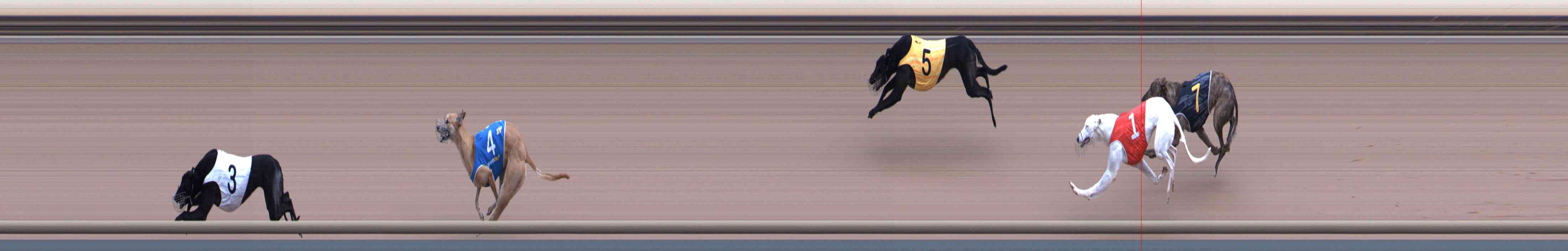 Photo finish for Healesville Race 5