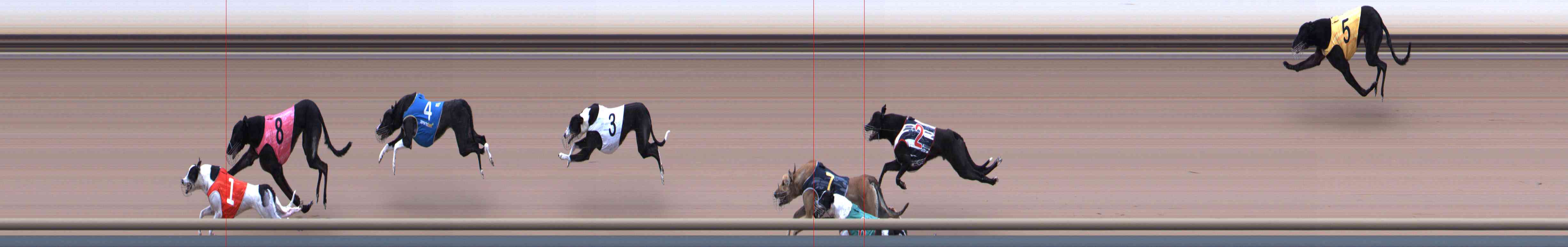 Photo finish for Healesville Race 6