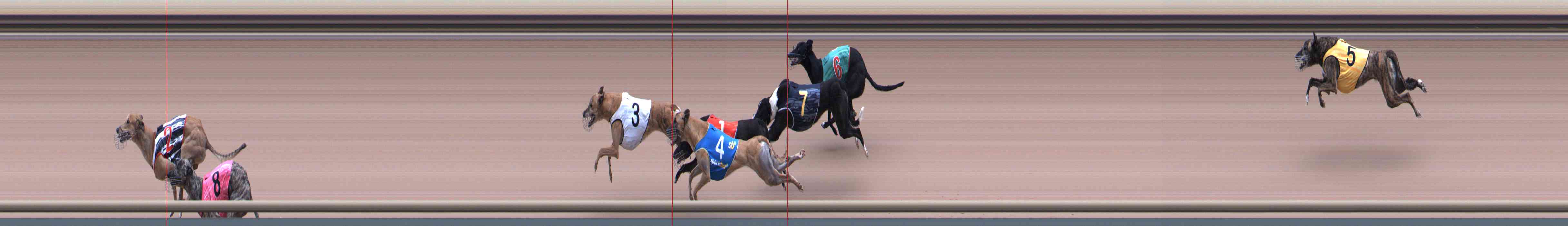Photo finish for Healesville Race 7