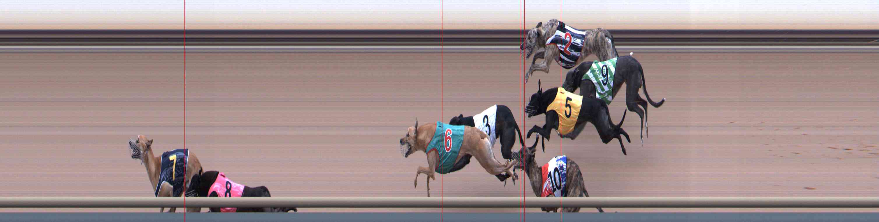 Photo finish for Healesville Race 8