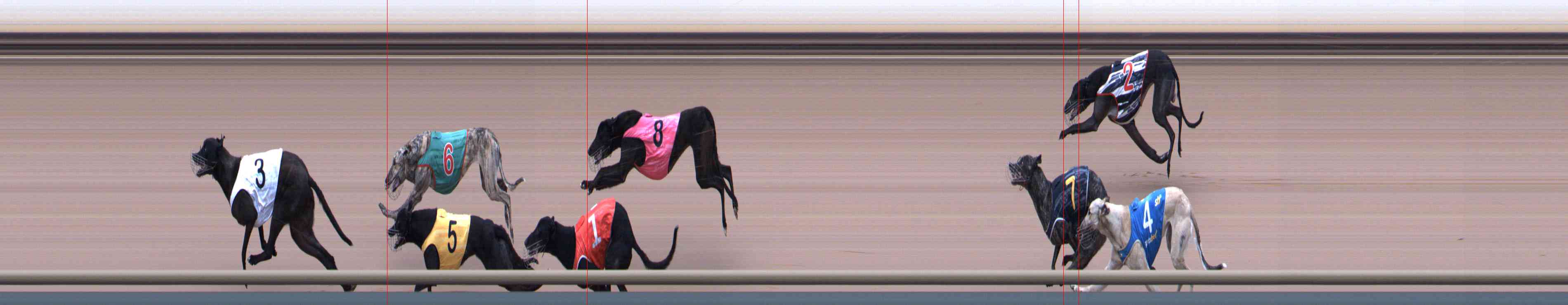Photo finish for Healesville Race 9
