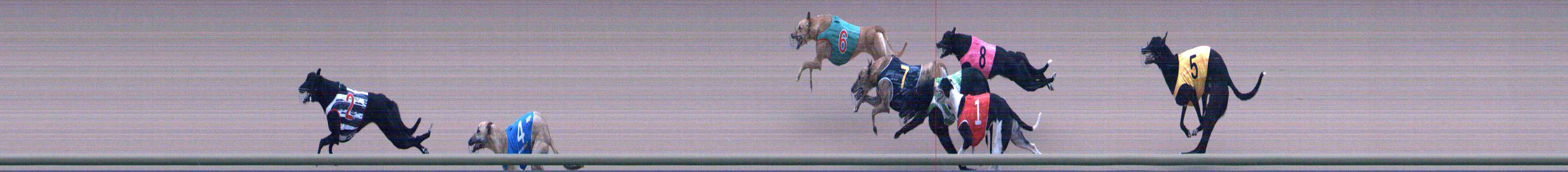 Photo finish for Healesville Race 1