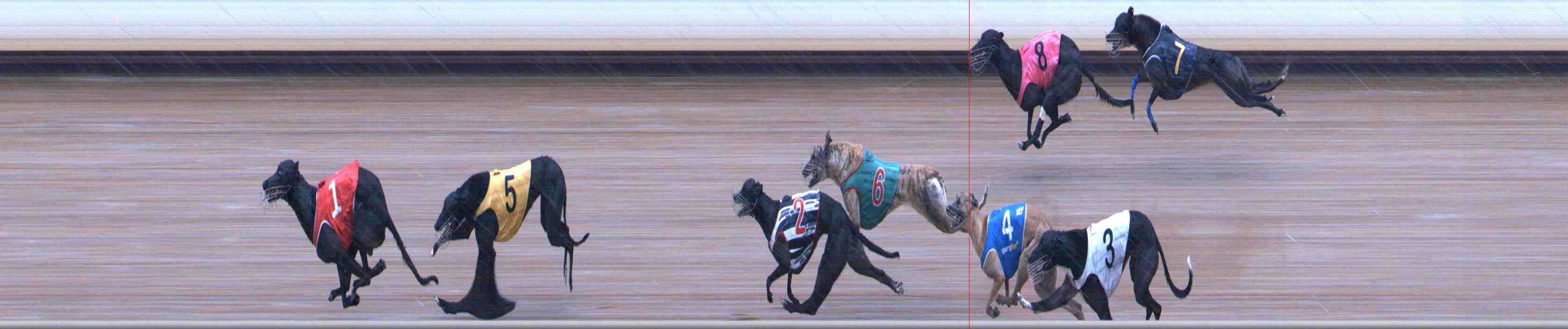 Photo finish for Healesville Race 2