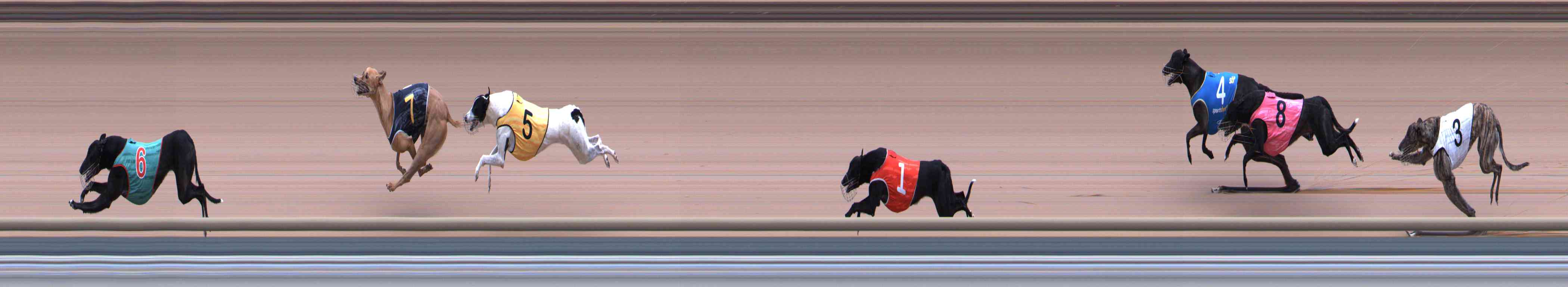 Photo finish for Healesville Race 1