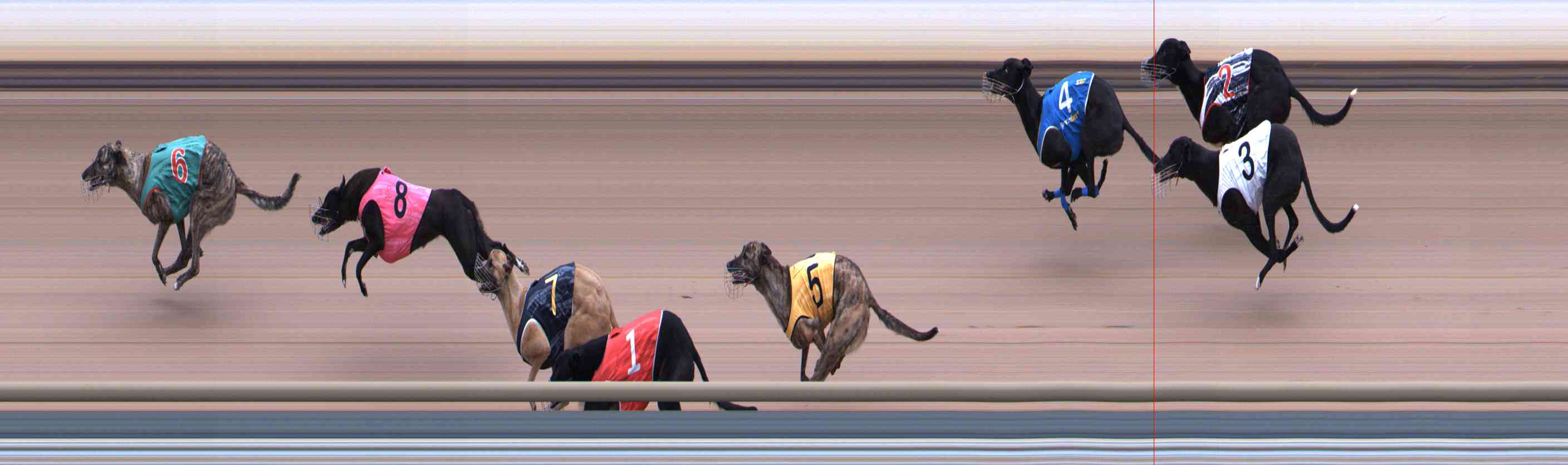 Photo finish for Healesville Race 2